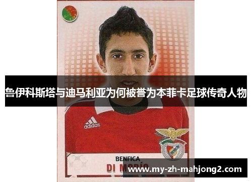 鲁伊科斯塔与迪马利亚为何被誉为本菲卡足球传奇人物